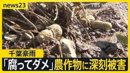 台風18号】週末に「非常に強い勢力」に発達へ 千葉豪雨の被災地では