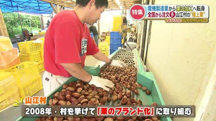 経営危機から一転『栗』が村の一大産業へ 口当たり抜群で甘味が広がる