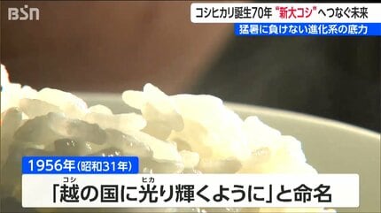 コシヒカリ誕生から70年 ”次世代”へつなぐ未来 岐路に立つ『新潟の米