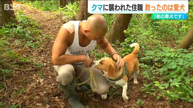 「もう終わったな」散歩中に1.6mほどのクマに襲われた45歳住職 救ったのは愛犬チコの“とっさの行動”|TBS NEWS DIG