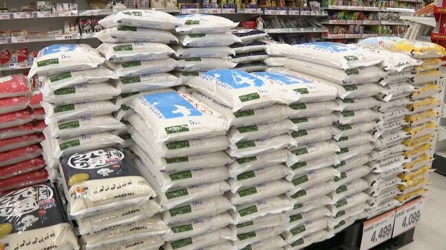 「コメ価格、急激に安くなることは難しい」JAグループ福岡　卸売業者に販売する”相対取引価格”が昨年度の146％に|TBS NEWS DIG
