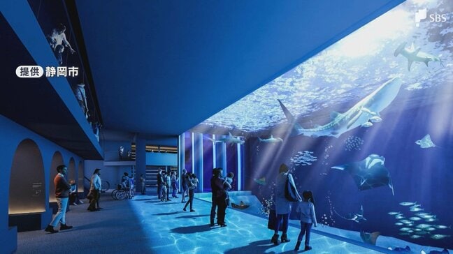 「しっかりとした水槽を」静岡市の海洋文化施設 規模を当初半分程度に縮小へ 事業費70億円増加で白紙化の海洋文化施設=静岡市|TBS NEWS DIG