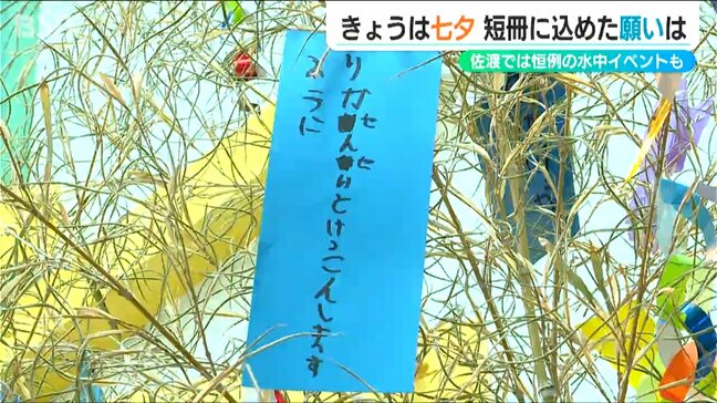 「短冊に託した園児の願いは…佐渡では海中で恒例の…」各地で七夕のイベント　新潟|TBS NEWS DIG