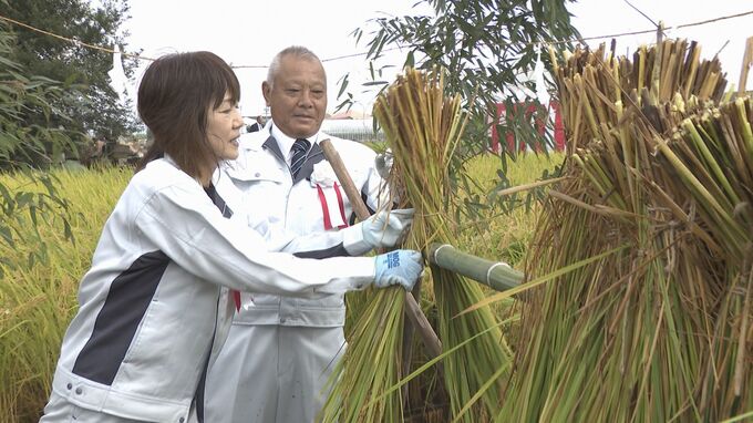 「今後もいい米を生産していきたい」宮中行事・新嘗祭への献上米を刈り取る「抜穂祭」　山口・防府|TBS NEWS DIG