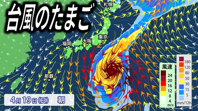 【台風のたまご＝熱帯低気圧】が発生？日本のはるか南に「反時計回りの風と雨の渦」来週にかけて日本の南へ北上か【4月19日(日)朝まで・雨と風のシミュレーション】|TBS NEWS DIG