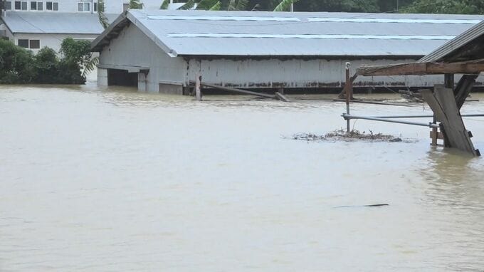 大雨特別警報の与論町　浸水25棟、道路冠水31か所　土砂崩れで通行止めも　鹿児島（午前9時半）|TBS NEWS DIG