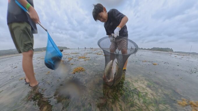 きれいで豊かな海、守られているのは偶然じゃない　南恩納に伝わる伝統漁法「ヒアガラサー」　|　沖縄のニュース｜RBC 琉球放送