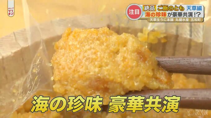 一口食べたらもう箸が止まらない！ごはんがススム！天草のご飯のおとも　|　熊本のニュース｜RKK NEWS｜RKK熊本放送
