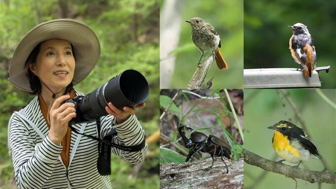 【 磯野貴理子 】　山梨の豊かな自然を満喫　野鳥にカブトムシ 信玄ゆかりの名水まで…大自然に親しむ姿に「自然の空気が伝わる」「目線が素敵」|TBS NEWS DIG