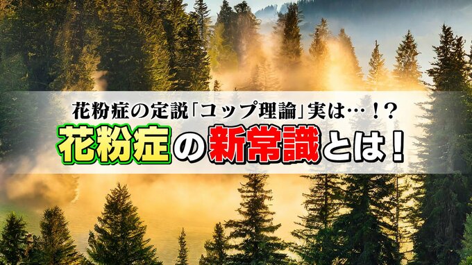 花粉症の新常識？『シーソー理論』で症状予防　医師が教える対策のポイント|TBS NEWS DIG