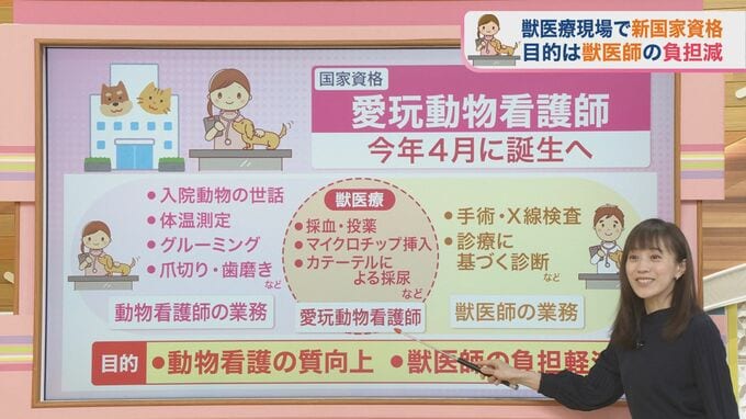 動物病院の待ち時間が減る？国家資格「愛玩動物看護師」が4月に誕生【ひるおび】|TBS NEWS DIG