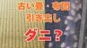 【むずむず】「目や鼻がかゆい」それはダニの仕業？「古い畳・布団・マットレス・引き出し」を要確認！【大掃除でダニを一掃しよう】【前編】　|　岡山・香川のニュース | 天気 | RSK山陽放送