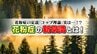花粉症の新常識？『シーソー理論』で症状予防　医師が教える対策のポイント　|　熊本のニュース｜RKK NEWS｜RKK熊本放送