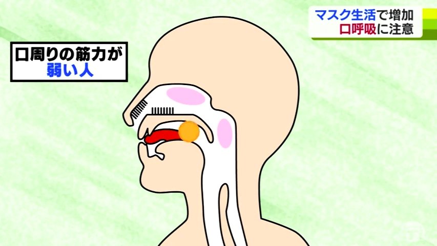 マスク生活で増加！「口呼吸」に注意 感染症・虫歯のリスクが高まる