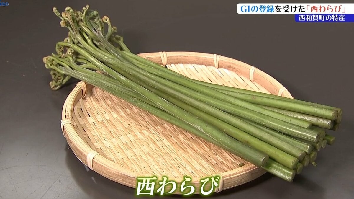 岩手・西和賀町の特産「西わらび」がGI登録後、初の収穫期迎える 今年