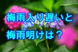 梅雨入り遅いと梅雨明けも遅れる?過去には「梅雨明け特定できず」の年も では今年は…? tbc気象台|TBS NEWS DIG