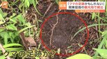 「クマの足跡かもしれない」関東屈指の観光地・日光でクマ出没相次ぐ 現場に残された痕跡は…|TBS NEWS DIG