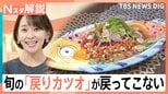 今が旬「戻りカツオ」が戻ってこない…?!一方でクロマグロやマイワシは漁獲増のワケ【Nスタ解説】|TBS NEWS DIG