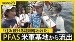 揺らぐ水の安全…全国2割の水道でPFAS 米軍基地への立ち入り調査実現せず 沖縄では処理費用も日本側が負担 ドイツとの違いなぜ？【news23】|TBS NEWS DIG