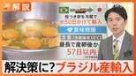 回復は来年か…深刻な“卵不足” 鳥インフルエンザで約12%の鶏が殺処分に ブラジルから輸入の卵の味は?安全性は?【Nスタ解説】|TBS NEWS DIG