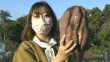 生産者もビックリ! 肥料無しで3.8キロの重さ 大分市の畑で収穫された巨大なサツマイモ | 大分のニュース|OBS NEWS|大分放送