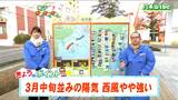 「3月中旬並みの陽気で西風がやや強くなる」27日 宮城の天気 tbc気象台 | 宮城のニュース│tbc NEWS│tbc東北放送