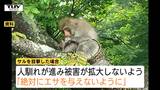 住宅の敷地に出没…先月から山形市の住宅地でニホンザルの目撃相次ぐ　絶対にエサを与えないよう注意呼びかけ|TBS NEWS DIG