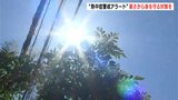 35℃超えの地域も…今年初の“熱中症警戒アラート”発表 こまめな水分補給など熱中症対策を!|TBS NEWS DIG