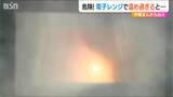 おにぎりや肉まんなど「温め過ぎに注意!」誤った使い方で『発火』する電子レンジ|TBS NEWS DIG