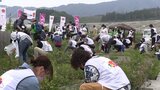6月4日の全国植樹祭に向け会場となる岩手県陸前高田市で清掃活動|TBS NEWS DIG