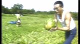 1984年も暑かった!暑い時に食べたくなるのは今も昔もスイカ!【ホレホレアーカイブ】|TBS NEWS DIG