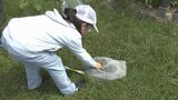 すべての命への慈しみの心を育てて 児童らが昆虫と環境を学ぶ 山口・防府|TBS NEWS DIG