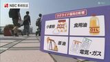 ちゃんぽん麺…クリーニング ウクライナ侵攻で暮らしへの影響が | 長崎のニュース | 天気 | NBC長崎放送