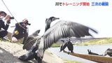 夏の風物詩「三次の鵜飼」を前に　鵜慣らし祭　川でウのトレーニング開始　|　RCC NEWS | 広島ニュース | RCC中国放送