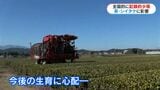 1月は記録的少雨　志布志は平年の1％　茶農家は根腐れ心配　原木シイタケ育たない…　鹿児島|TBS NEWS DIG