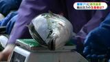 トランプ関税第2弾発動 養殖ブリ日本一・長島町の輸出への影響は? | 鹿児島のニュース|MBC NEWS|南日本放送