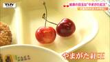 「100個くらい食べられそう」さくらんぼ”やまがた紅王”が給食に!争奪じゃんけん大会も開催!(山形・天童市) | 山形のニュース│TUYテレビユー山形
