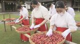 県護国神社で梅の「土用干し」秋の祭事に縁起物の“福梅”として参拝者へ 大分 | 大分のニュース|OBS NEWS|大分放送