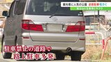富士山の麓の桜の名所 周辺の道路や団地で迷惑駐車が相次ぐ 運転手に聞くと…|TBS NEWS DIG