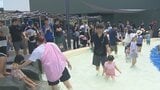 夏本番!リニューアルや再開で活気 進化した大分の観光地に家族連れ続々 | 大分のニュース|OBS NEWS|大分放送