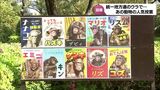 あの“雑巾がけ”のチンパンジーはどうだった?統一地方選のウラで宮崎市の動物園では「チンパンジー総選挙」|TBS NEWS DIG