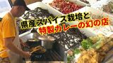 沖縄でスパイス栽培⁉不定期に開店する幻のポップアップレストランとは【Aランチ】|TBS NEWS DIG