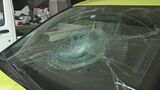 畑から帰宅中に道路を横断していた女性(82)が車にはねられ死亡 愛媛・松山の国道11号 | 愛媛のニュース - Nスタえひめ|あいテレビは6チャンネル