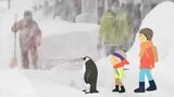 “警報級の大雪”に備えよう　慣れない雪道には「ペンギン歩き」で安全確保 小さな歩幅で“靴の裏全体”を路面につけてがコツ　|TBS NEWS DIG