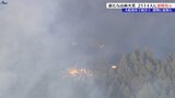 岩手県大船渡市赤崎町で新たな火災発生 複数の住宅に延焼の可能性も|TBS NEWS DIG