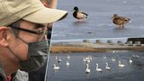 間もなく12年・自然環境の復興は~戻りつつある野鳥の宝庫 岩手・釜石市の片岸公園|TBS NEWS DIG