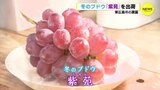 「甘くておいしい」冬のブドウ出荷ピーク　広島　　|　RCC NEWS | 広島ニュース | RCC中国放送