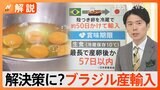 回復は来年か…深刻な“卵不足” 鳥インフルエンザで約12%の鶏が殺処分に ブラジルから輸入の卵の味は?安全性は?【Nスタ解説】|TBS NEWS DIG