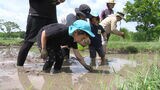 「おもち食べるのが楽しみ」吉野ヶ里歴史公園で園児が古代米の田植え体験 12月には餅つき大会 佐賀 | 福岡のニュース|RKB NEWS|RKB毎日放送