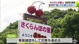 宮内庁関係者を名乗り全国の農家に献上依頼　サクランボの献上を青森県南部町が調査|TBS NEWS DIG